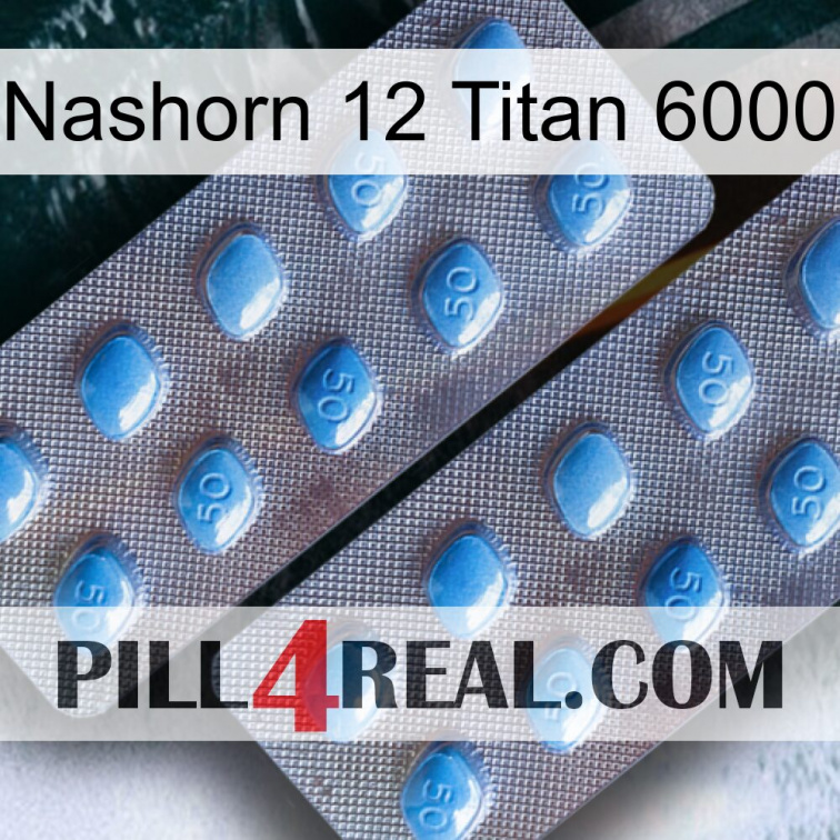Rhino 12 Titanium 6000 viagra4